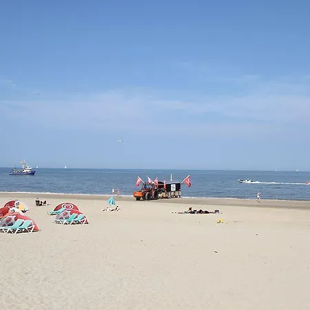 Beach View 1 *